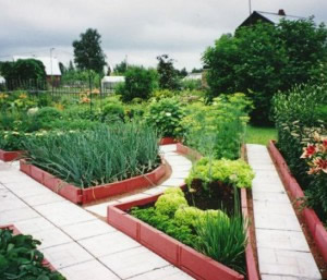 Пластиковые ограждения для грядок