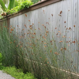 Заборы из профнастила для дачи