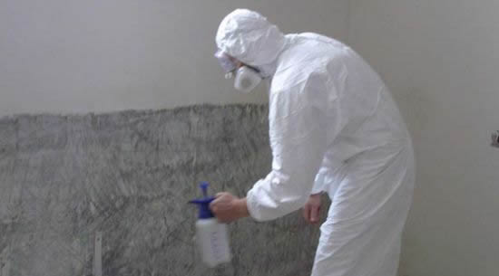 Делаем обработку поверхности при помощи антисептиков