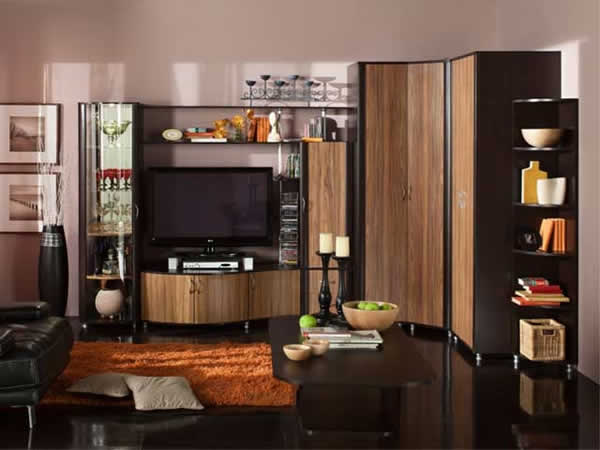 Интерьер с модульным шкафом