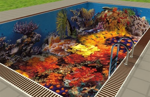 Кусочек дна Красного моря в бассейне