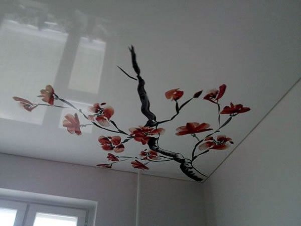 Натяжной потолок с фотопечатью