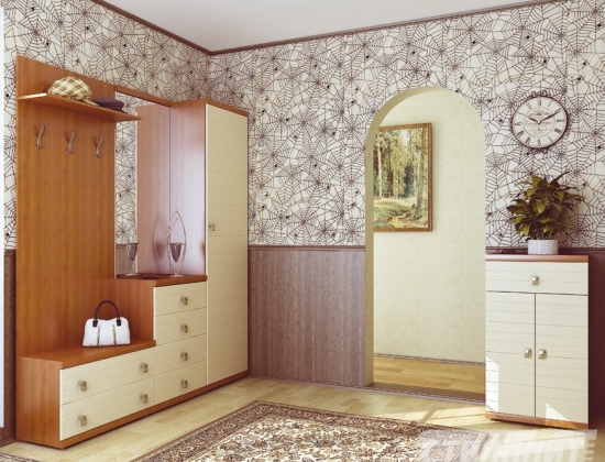 oformlenie-prihozhey