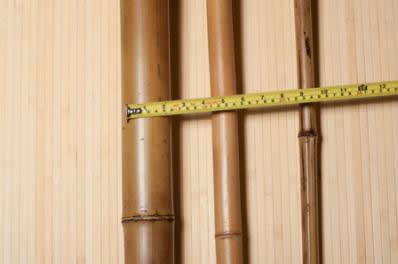 Выбор стволов бамбука