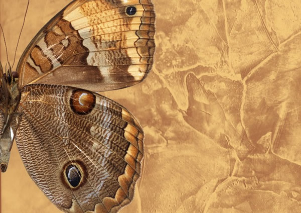 Роспись по структурной штукатурке