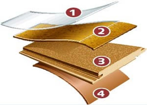 Слои, составляющие ламинат