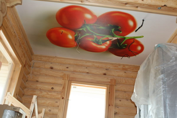 Тканевый натяжной потолок в деревянном доме